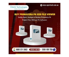Buy Primavera P6 XER File Viewer No P6 Software Required