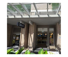 Sweet Cravings? Pagewood Gelato Shop Ready to Serve