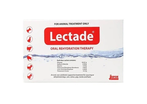 Lectade Oral Rehydration Therapy