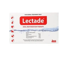 Lectade Oral Rehydration Therapy