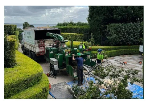 Tree Removal Gordon