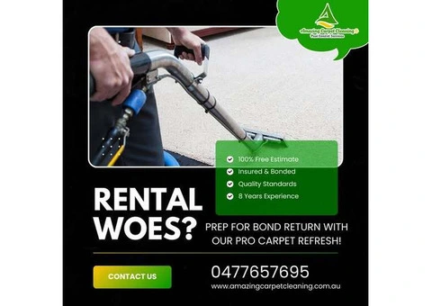 Carpet Cleaning Experts in North Brisbane | Affordable & Reliable Services