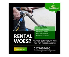 Carpet Cleaning Experts in North Brisbane | Affordable & Reliable Services