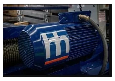Crane hoist sales