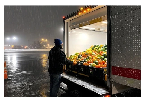 Affordable and Reliable Cold Food Delivery in Sydney