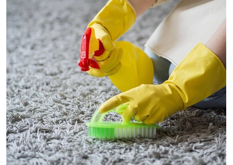 Reliable Best Carpet Cleaning Brisbane – Deep Clean Solutions by Ezydry