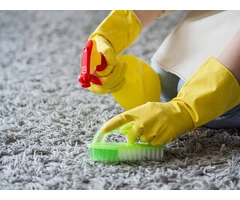 Reliable Best Carpet Cleaning Brisbane – Deep Clean Solutions by Ezydry