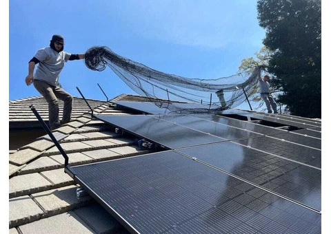 Protect Your Solar Panels from Costly Damage!