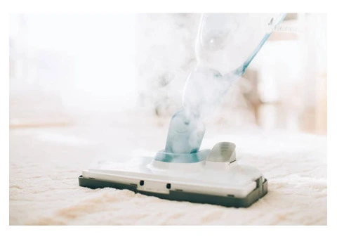 Refresh Your Carpets Today With Professional Steam Cleaning - 2/4