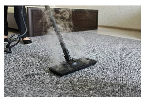 Refresh Your Carpets Today With Professional Steam Cleaning - 3/4
