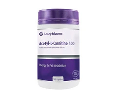 Boost Your Energy & Brain Performance Daily