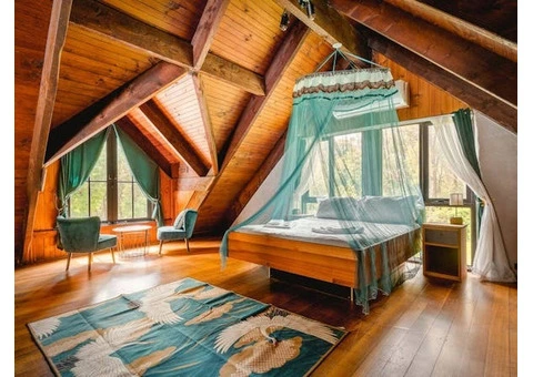 Explore Accommodation Near Dandenong Ranges for Peaceful Stays