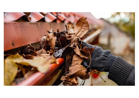 Professional Gutter Cleaning & Maintenance in Wollongong – Reliable, Fast & Affordable!