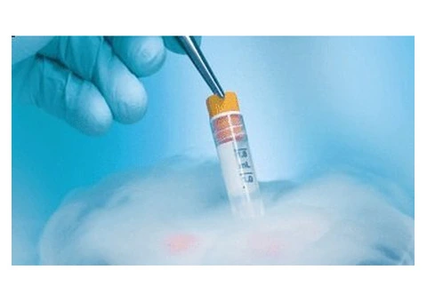 The IUI Process in Melbourne Made Simple and Stress-Free