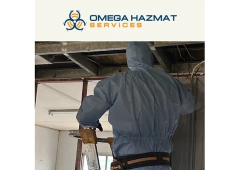 Asbestos Removal Hornsby: Safe & Licensed Services for Homes and Businesses