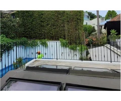 Tree Lopping Sydney North Shore