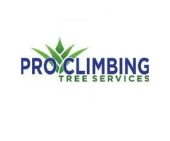 Tree removal and pruning – local service