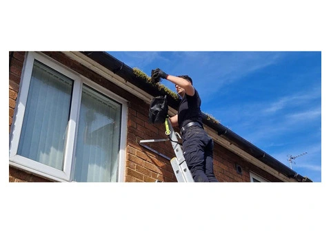 Professional Gutter Cleaning Services in Sydney