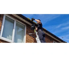 Professional Gutter Cleaning Services in Sydney