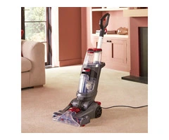 Professional Carpet & Upholstery Cleaning Services