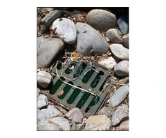 The Biggest Plumbing Myths That You Should Know About