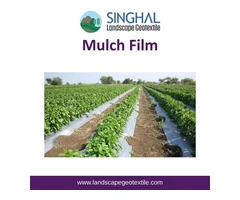 Mulch Film for Reliable Agricultural Ground Coverage