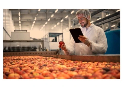 Build Your Food Workforce Quickly – Call Us Now