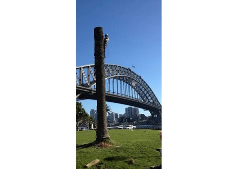 Hedge Trimming Sydney – Qualified Arborists | Free Quote - 3/3