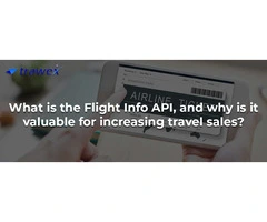 FLIGHT INFO API