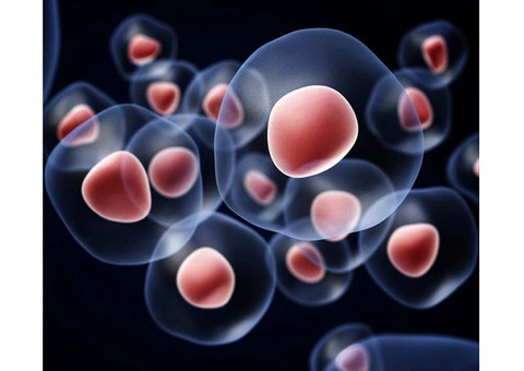 Discover the Benefits of Advanced Exosomes Hair Treatment in Perth