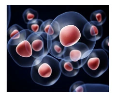 Discover the Benefits of Advanced Exosomes Hair Treatment in Perth