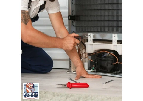 Professional Fridge Repair Services Near You