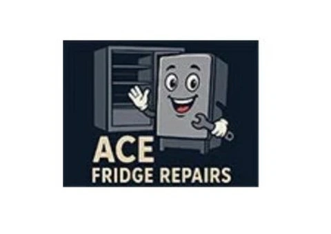 Reliable Fridge Mechanic Near Me | Ace Fridge Repairs