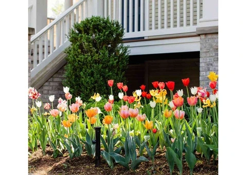 Professional Landscaper Sydney | Quality Work You Can Trust - 2/2