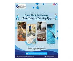 Deluxe Cleaning Group specializes in safe cockroach pest control Brisbane treatments.
