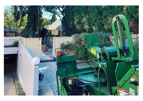 Tree Removal Eastern Suburbs Sydney