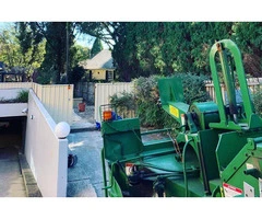 Tree Removal Eastern Suburbs Sydney