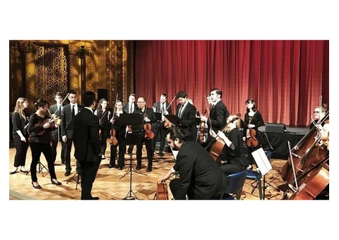 Premium String Quartet Newcastle By String Musicians Australia