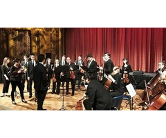 Premium String Quartet Newcastle By String Musicians Australia