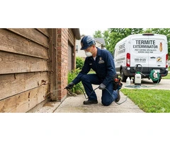 Reliable Termite Exterminator Northern Beaches for Safe Pest Control Solutions