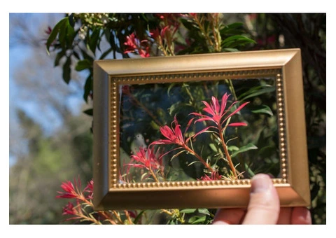 Picture framing in Kambalda West WA - 2/3