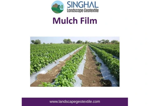 Mulch Film for Reliable Ground Coverage and Protection