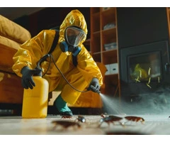 Emergency Pest Control in Sydney with Same Day Service