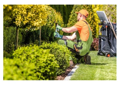 Expert Gardening Services Canberra for Reliable Garden Care