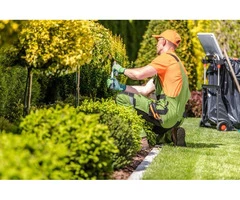 Expert Gardening Services Canberra for Reliable Garden Care
