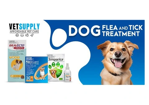 Dog Flea And Tick Treatment