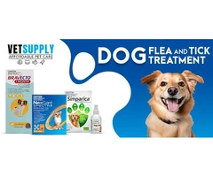 Dog Flea And Tick Treatment