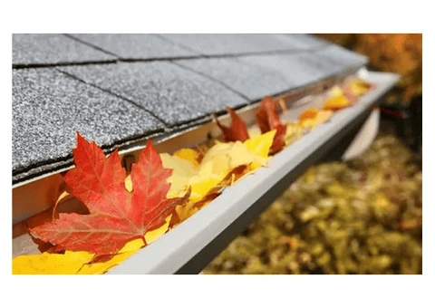 Gutter Cleaning in Somerville