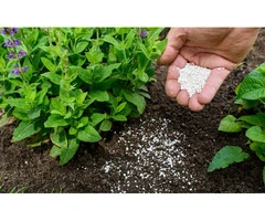 Organic Slow Release Fertiliser Australia for Healthy Soil