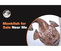 Best Fish Market Near Me | Tasman Star Seafood